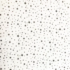 Mychild® Floe Convertible 2 In 1 Pram Pushchair With Multi-Fit Maxi Cosi Car Seat Adaptors - Silver Stars -Best Baby Sale Store 7 5